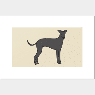 Cartoon italian greyhound Posters and Art